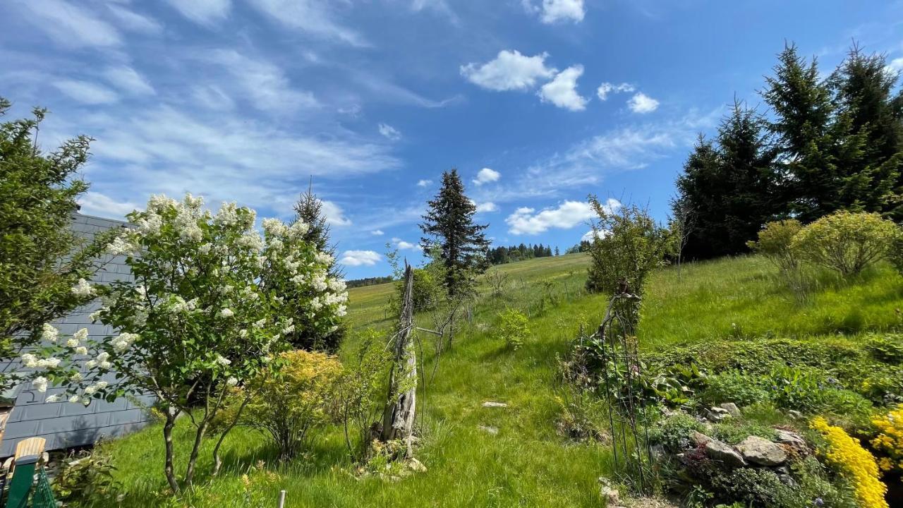 Fluegels Rebi-Baude Villa Rechenberg-Bienenmuhle Luaran gambar