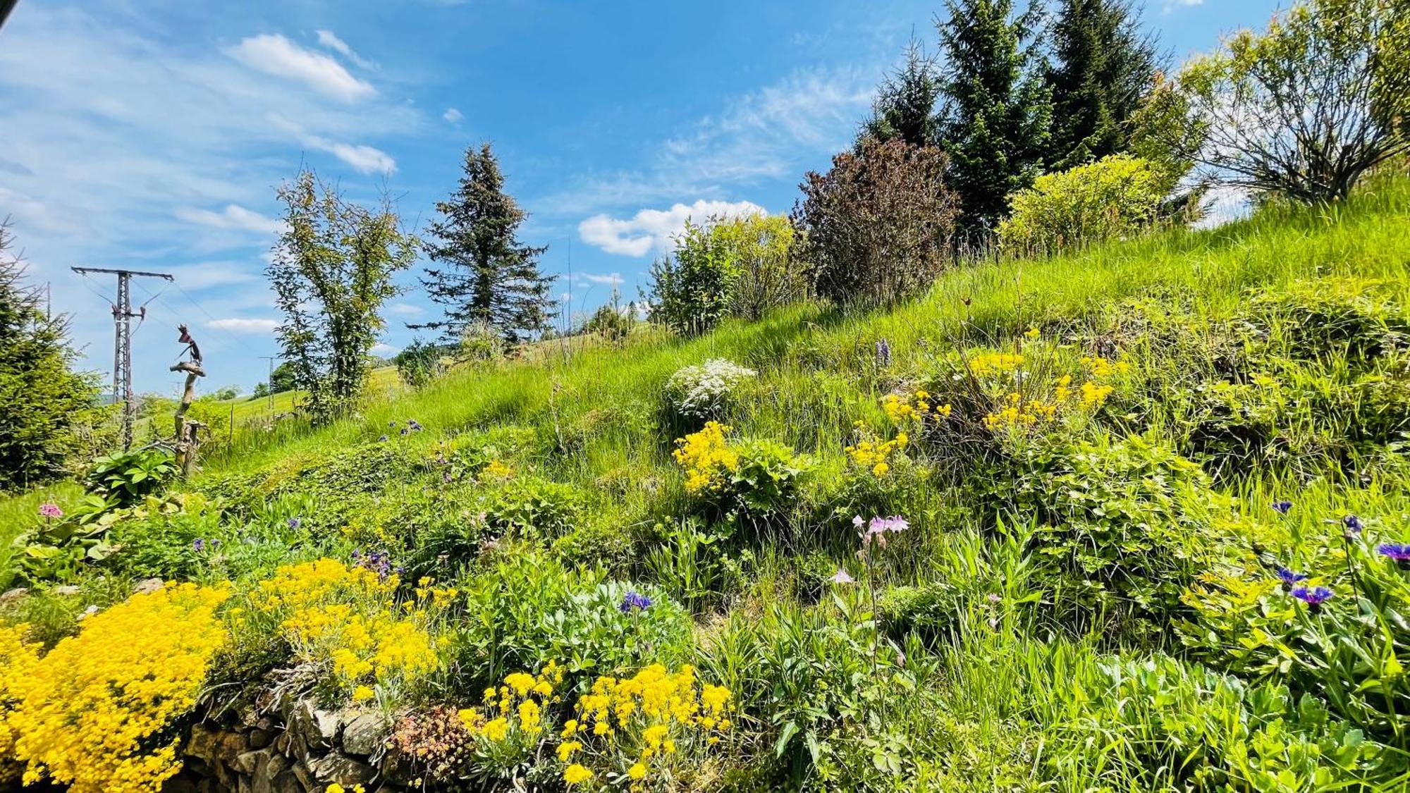 Fluegels Rebi-Baude Villa Rechenberg-Bienenmuhle Luaran gambar